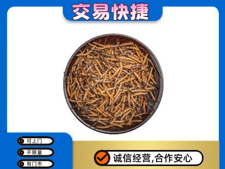 灯塔市高价回收散虫草